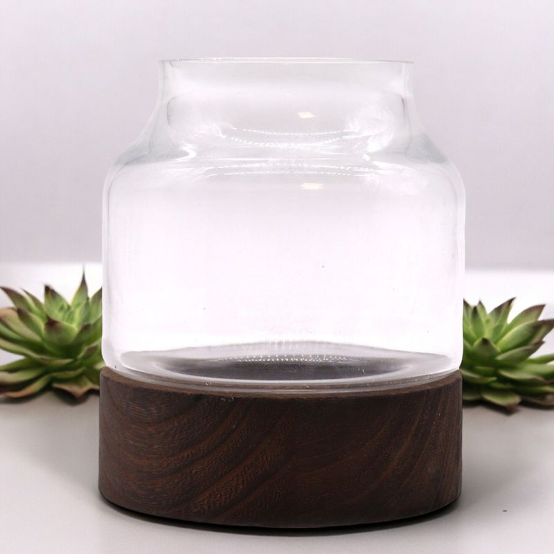 Litet Format Terrarium på Mörkt Tung-trä - 12x13cm