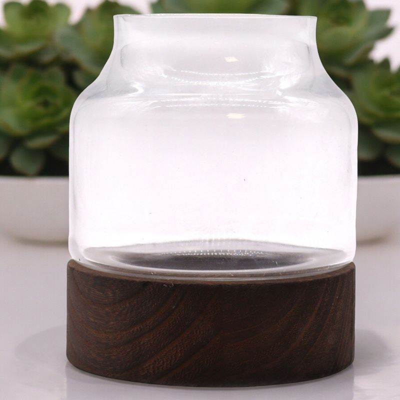 Medelstort Format Terrarium på Mörkt Tung-trä - 16x18cm