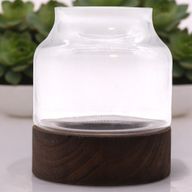 Medelstort Format Terrarium på Mörkt Tung-trä - 16x18cm