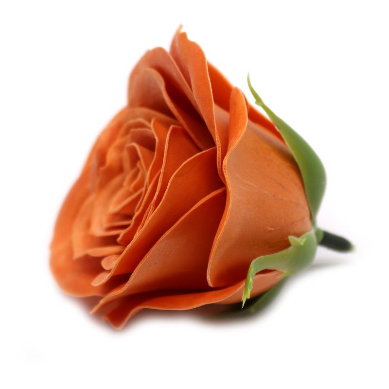 Tvålblommor till Hantverk - Stor (7-Skikt) Vintage Ros - Tegelsten