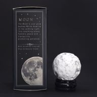 Planet på ett Stativ av Aventuringlas - Vit Howlit - 40mm (30x15mm stativ)