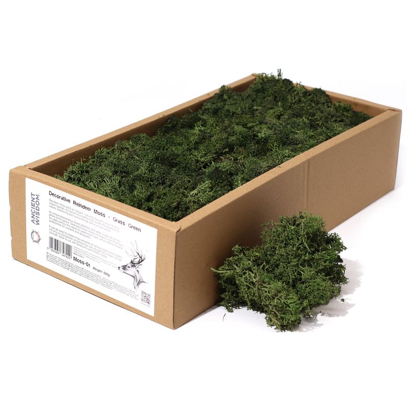 Högkvalitativ Dekorativ Renmossa - Gräsgrön - 500g Ask