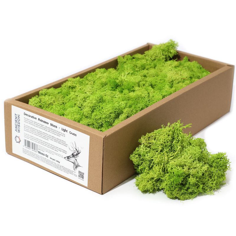 Högkvalitativ Dekorativ Renmossa - Ljus Gräs - 500g Ask