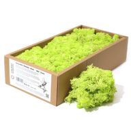 Högkvalitativ Dekorativ Renmossa - Mintgrön  - 500g Ask