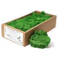 Högkvalitativ Dekorativ Renmossa - Mossgrön - 500g Ask