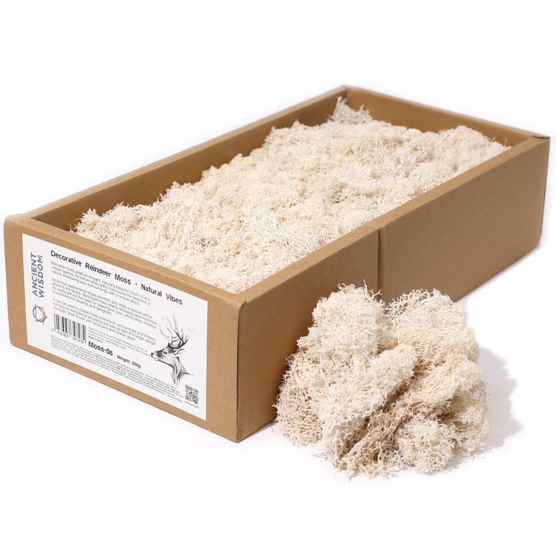 Högkvalitativ Dekorativ Renmossa - Naturlig - 500g Ask