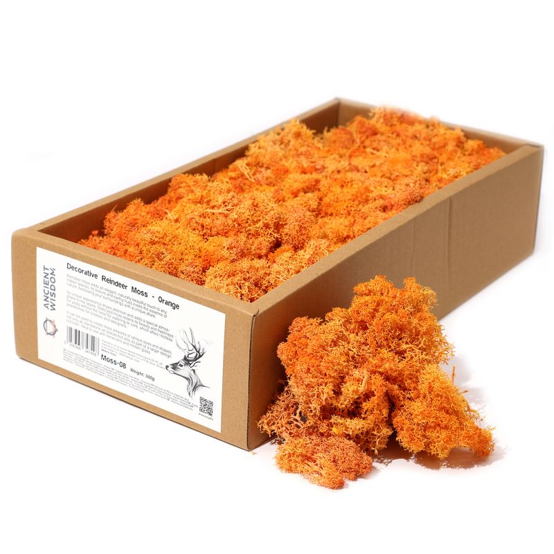 Högkvalitativ Dekorativ Renmossa - Orange - 500g Ask