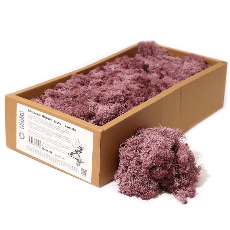 Högkvalitativ Dekorativ Renmossa - Lavendel - 500g Ask