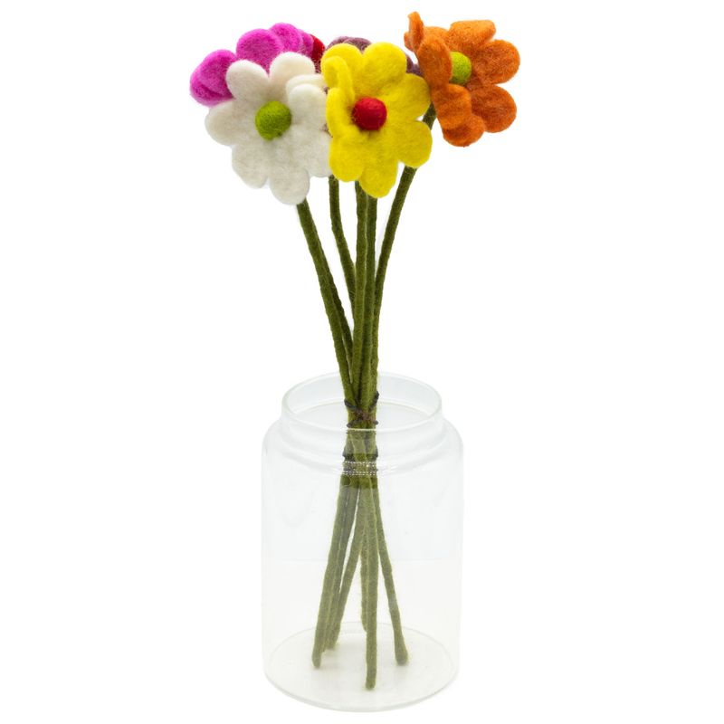 Filtblommor - Tusenskönor - Olika Färger