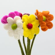 Filtblommor - Tusenskönor - Olika Färger