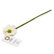 Filtblommor - Tusenskönor - Olika Färger
