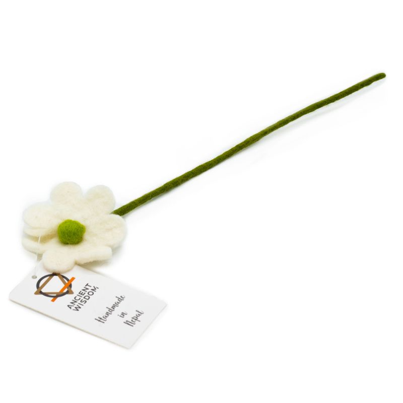 Filtblommor - Tusenskönor - Olika Färger