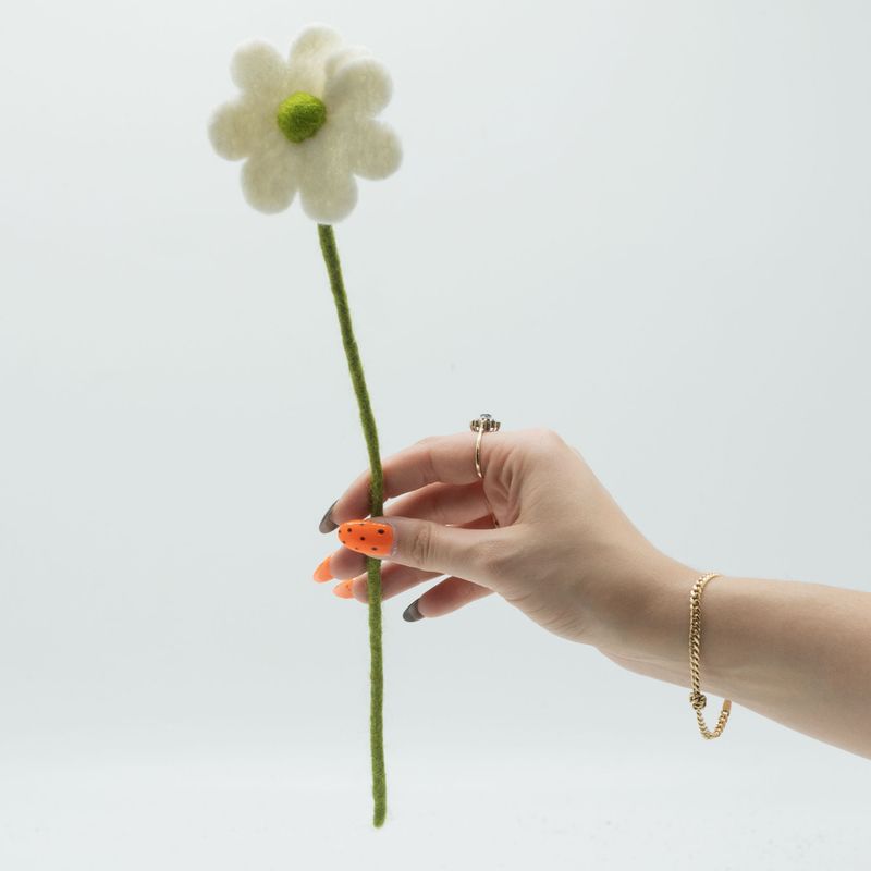 Filtblommor - Tusenskönor - Olika Färger