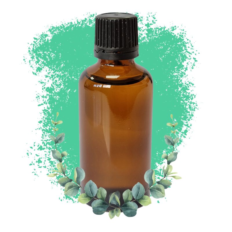 Eukalyptus Eterisk Olja 50ml - Utan Etikett