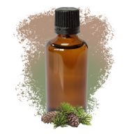 Tall Sylvestris (Scots Tall) Eterisk Olja 50ml - Utan Etikett