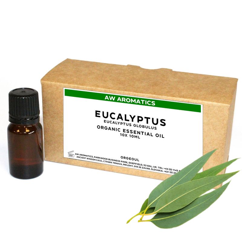 Eukalyptus Ekologisk Eterisk Olja 10ml - Utan Etikett