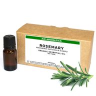 Rosmarin Ekologisk Eterisk Olja 10ml - Utan Etikett