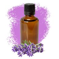 Lavendel Eterisk Olja 50ml - Utan Etikett