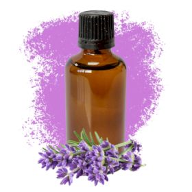 Lavendel Eterisk Olja 50ml - Utan Etikett