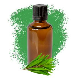 Te Träd Eterisk Olja 50ml - Utan Etikett