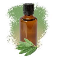 Salvia Eterisk Olja 50ml - Utan Etikett