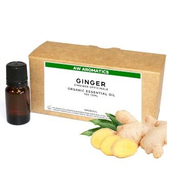 Ingefära Ekologisk Eterisk Olja 10ml - Utan Etikett