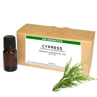 Cypress Ekologisk Eterisk Olja 10ml - Utan Etikett