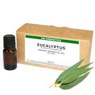 Eukalyptus Ekologisk Eterisk Olja 10ml - Utan Etikett