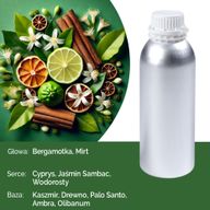Aura Ren Doftolja - 500ml