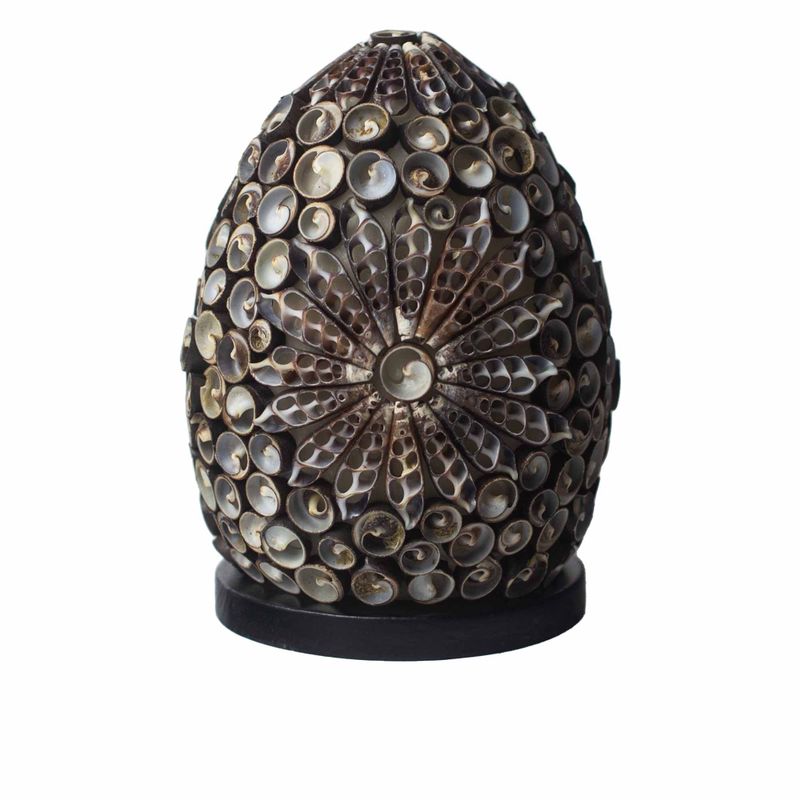 Snäckskalslampa - Oval Choklad Twist - 15cm