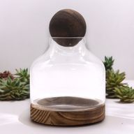 Medelstort Terrarium på Mörkt Tung-trä med Boll - 17x22cm