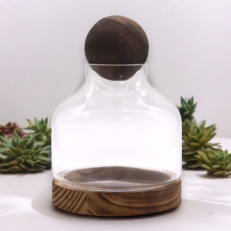 Medelstort Terrarium på Mörkt Tung-trä med Boll - 17x22cm