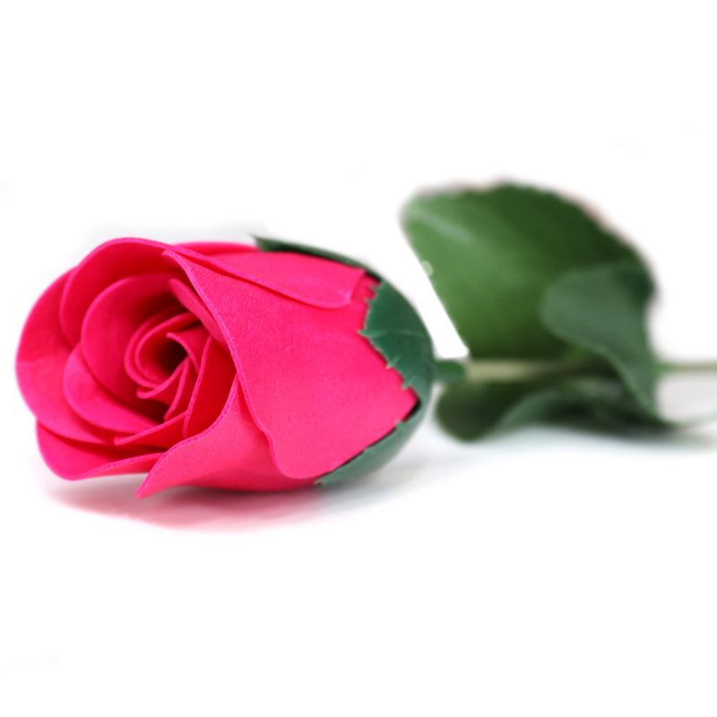 Redo att Säljas Tvålblommor - Liten Ros i Rosa