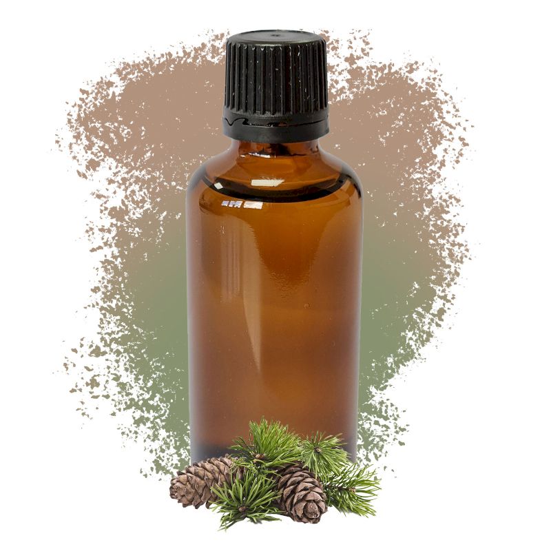 Tall Sylvestris (Scots Tall) Eterisk Olja 50ml - Utan Etikett