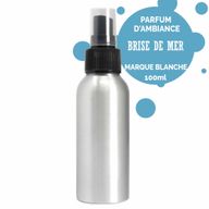 100ml Rumsspray - Havsbris - Utan Etikett