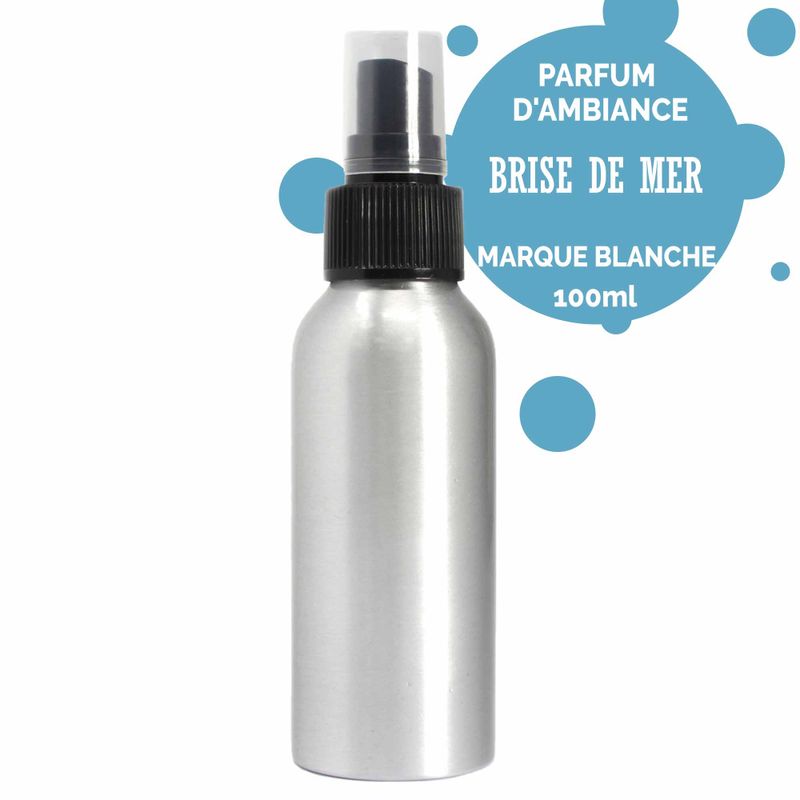 100ml Rumsspray - Havsbris - Utan Etikett