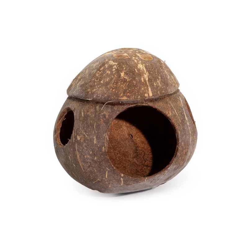 Naturlig Fågelholk av Kokosnöt - Med Krok - 13cm