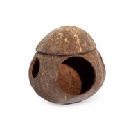 Naturlig Fågelholk av Kokosnöt - Med Krok - 13cm