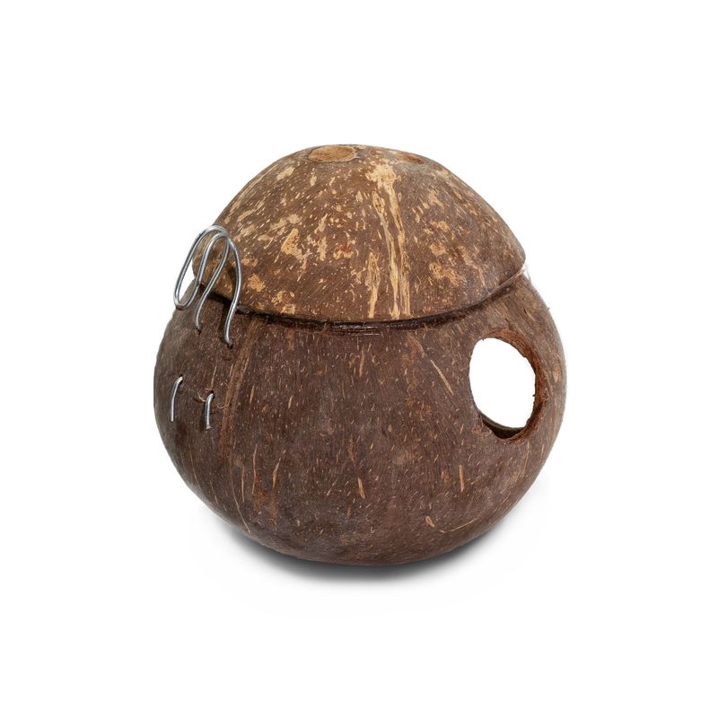 Naturlig Fågelholk av Kokosnöt - Med Krok - 13cm
