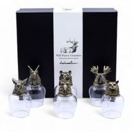 Gåvoset med 6 Bottom Up Glas (100ml) - Vilda Skogsvarelser
