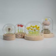 Lysande Glaskupa med Blommor - 10 Rosa Rosor - LED USB
