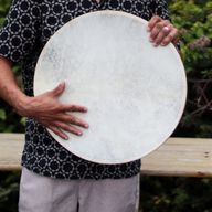 Havstrumma för Schamansk Ljudhealing - 45cm