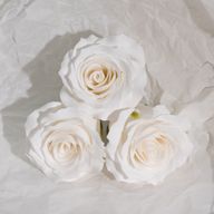 Tvålblommor till Hantverk - (5-lager) Romantisk Ros - Vit