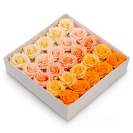 Tvålblommor till Hantverk - (5-lager) Romantisk Ros - Nyanserade Färger - Persikoskimmer