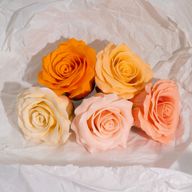 Tvålblommor till Hantverk - (5-lager) Romantisk Ros - Nyanserade Färger - Persikoskimmer