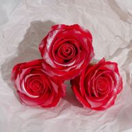 Tvålblommor till Hantverk - (5-lager) Endast för Dekoration - Sidenkantad Ros - Frostad Rubin