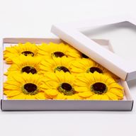 Tvålblommor till Hantverk - Jumbo Solrosor - 14cm