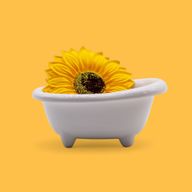 Tvålblommor till Hantverk - Jumbo Solrosor - 14cm
