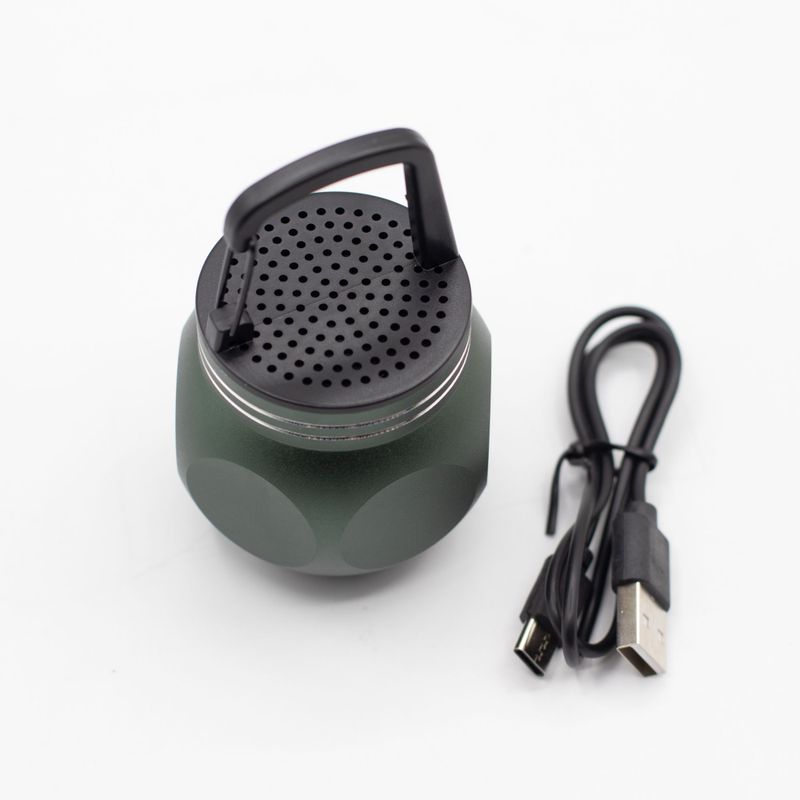 Grön Mini-högtalare med Campingkrok