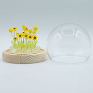 Lysande Glaskupa med Blommor - 20 Solrosor - LED USB